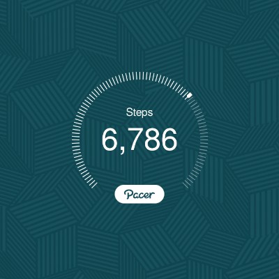 राज कुमार देवकोटा post 1