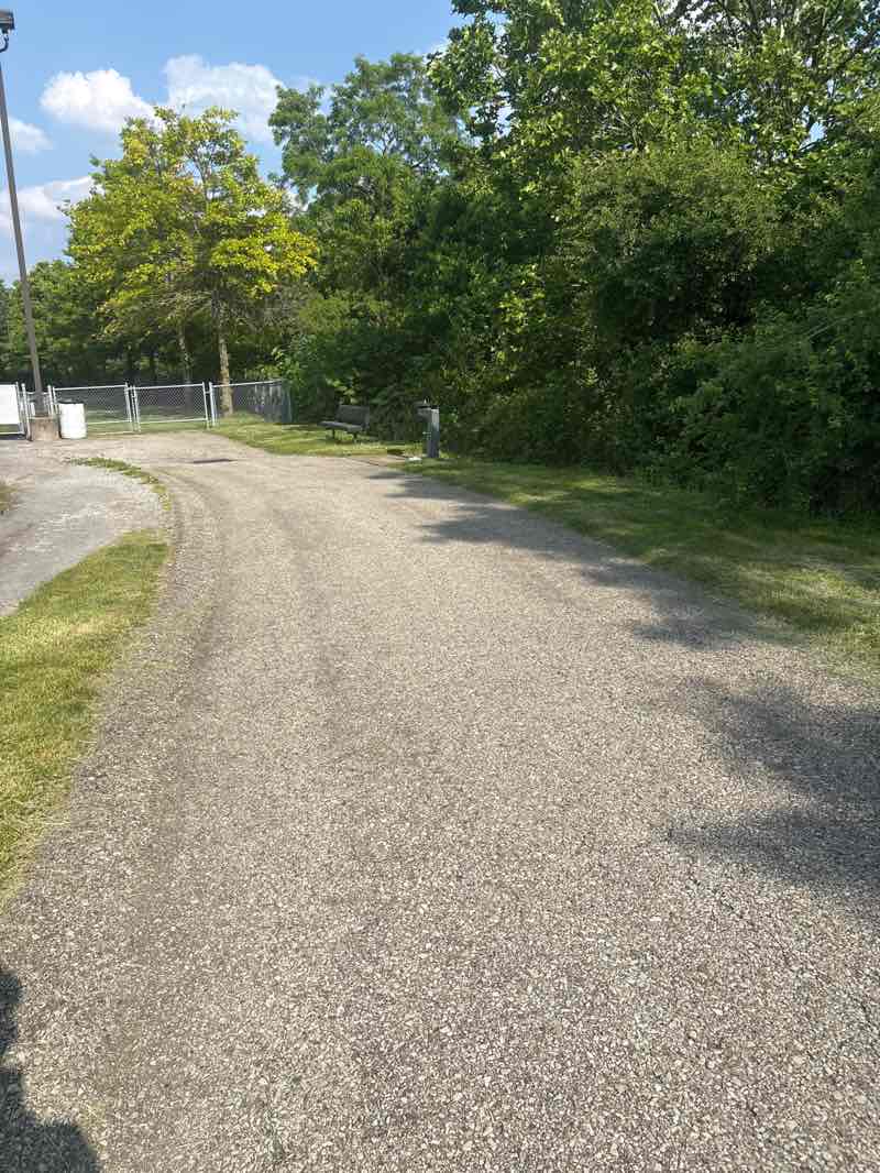 walking near me in Green Tree Park in summer