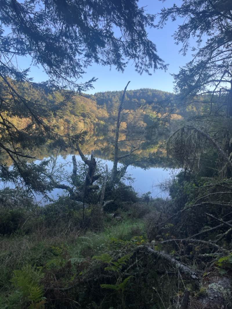 walking near me in Phillip Burton Wilderness Area in autumn