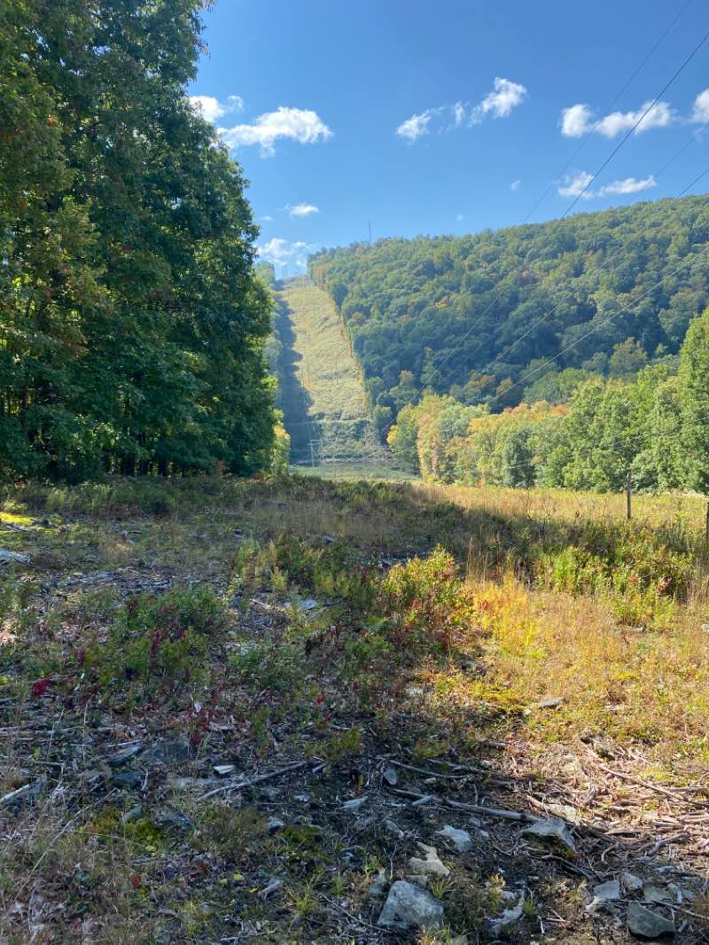 walking near me in Drake Well Park in winter