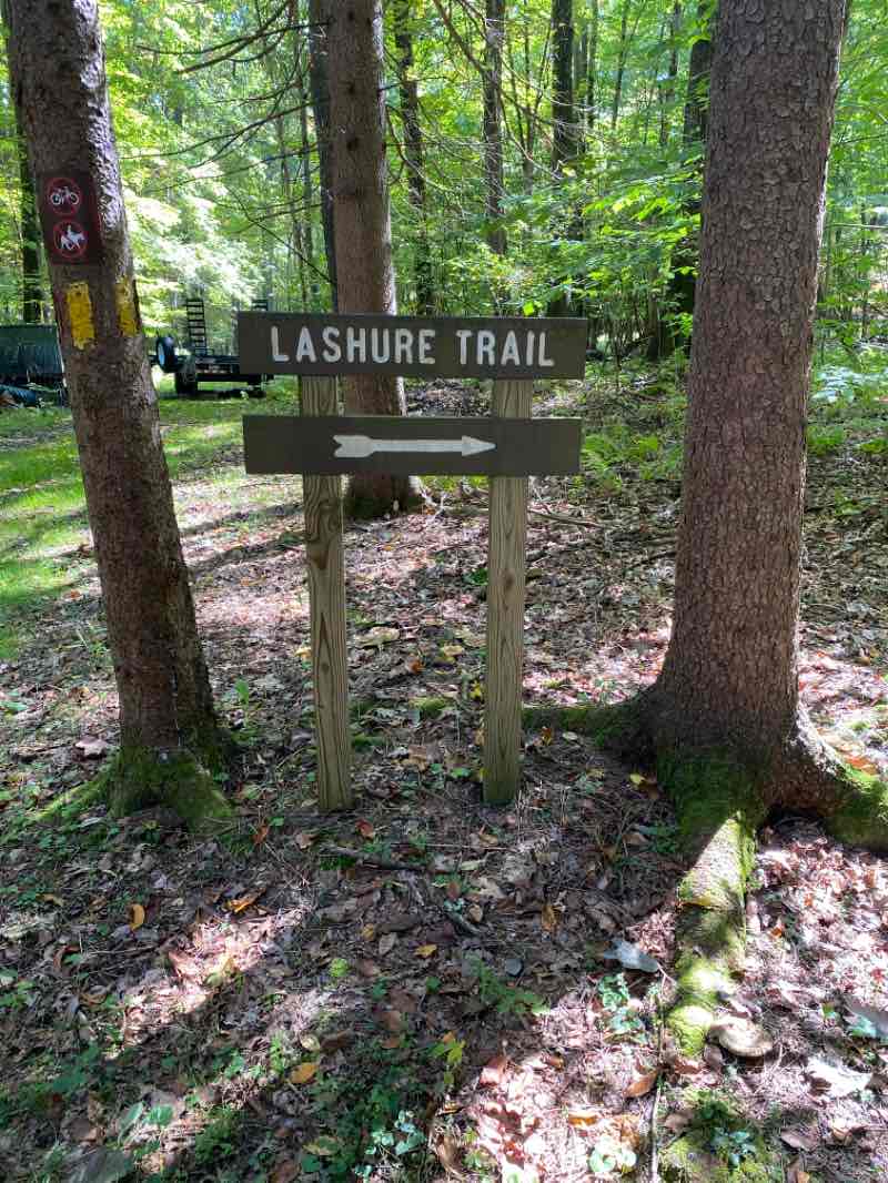 walking near me in Cornplanter State Forest in winter