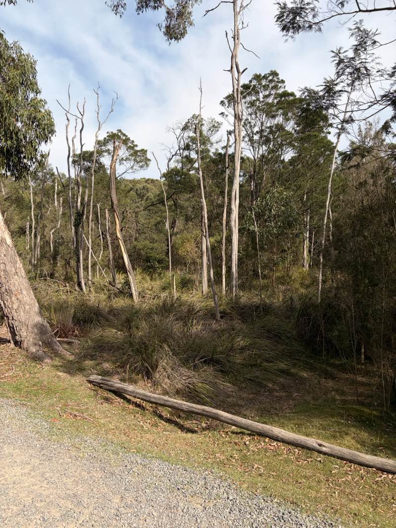 walking near me in Lysterfield Park in autumn