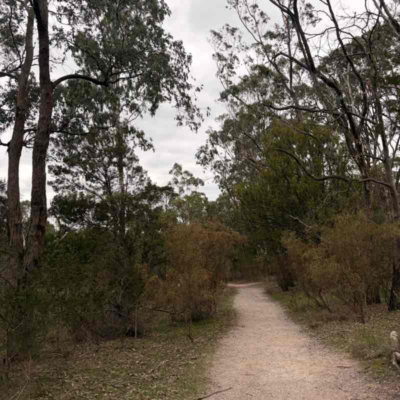 Daniel post 2