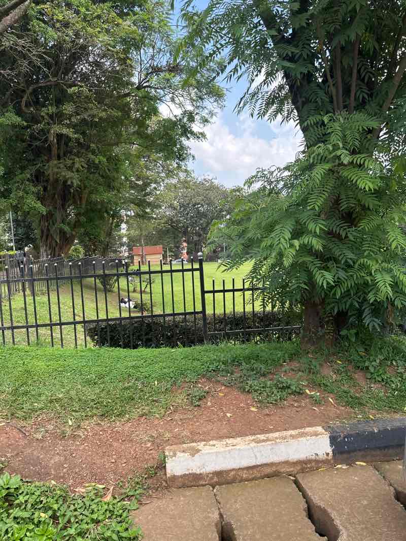walking near me in Freedom Square in autumn