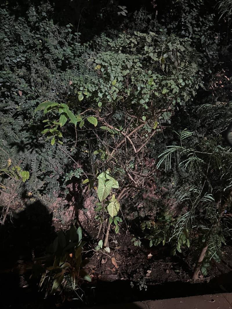 walking near me in Centenary Park in winter