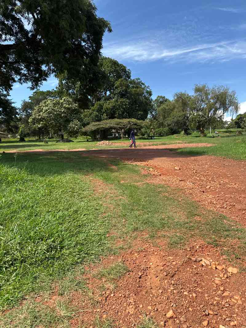 walking near me in Peace Park in spring