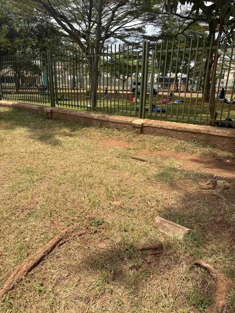 walking near me in Pan African Freedom Square in autumn