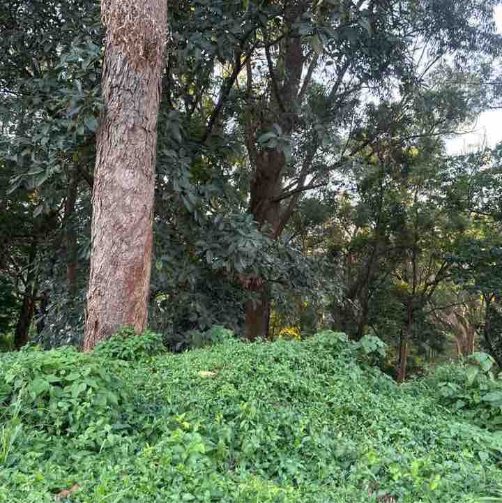 Rutaremwa 🇺🇬 post 1