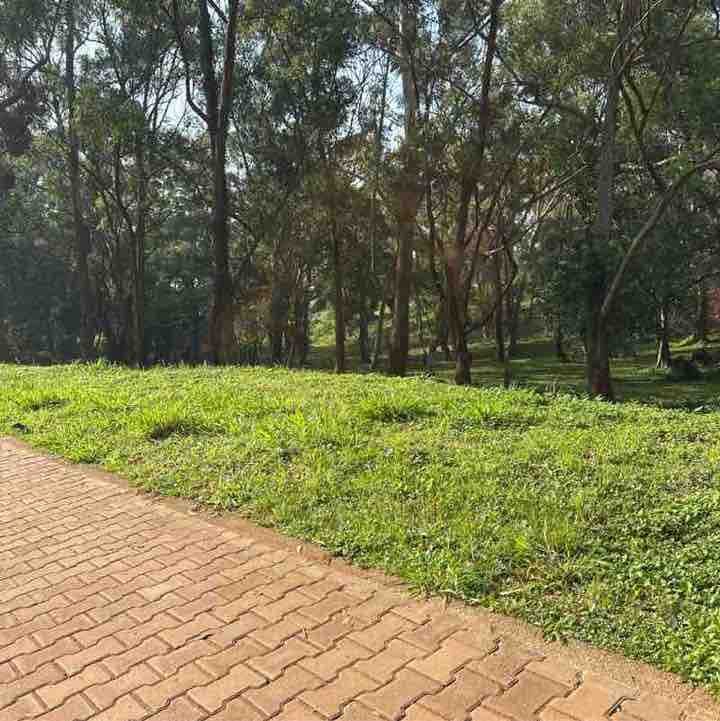 Rutaremwa 🇺🇬 post 1