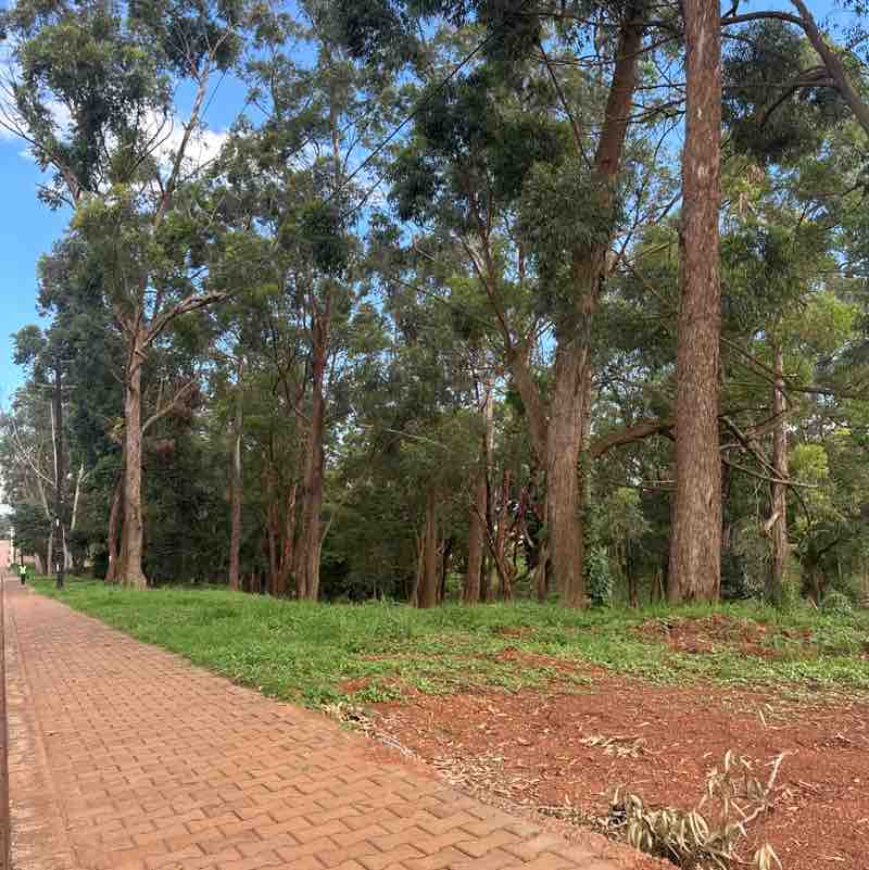 Rutaremwa 🇺🇬 post 1