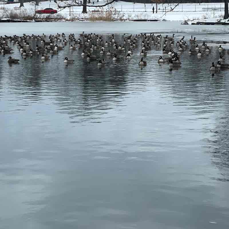 ayatth 🇵🇸🕊️ post 1