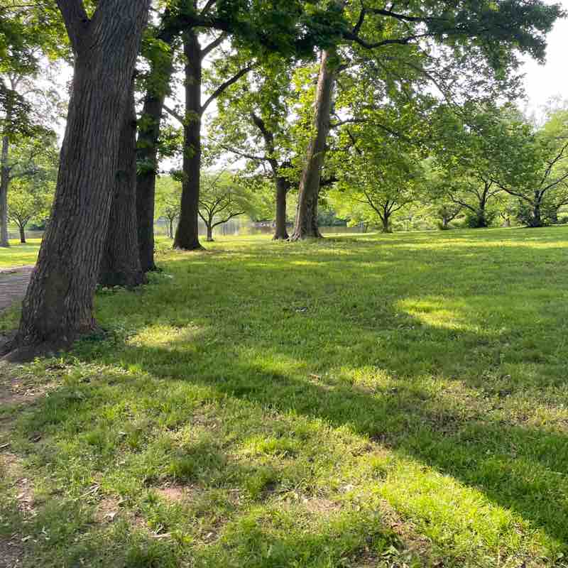 ayatth 🇵🇸🕊️ post 1