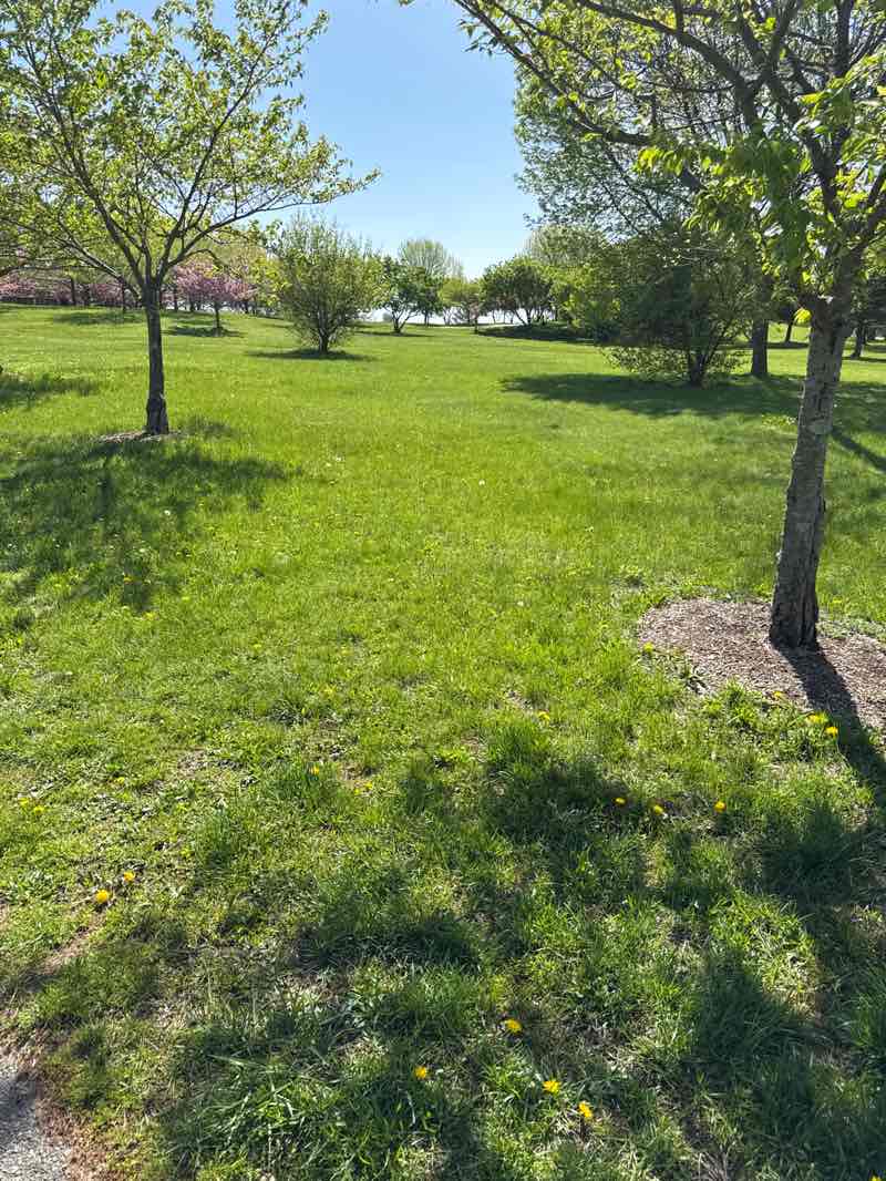 walking near me in Richard J. Sullivan Natural Area in spring
