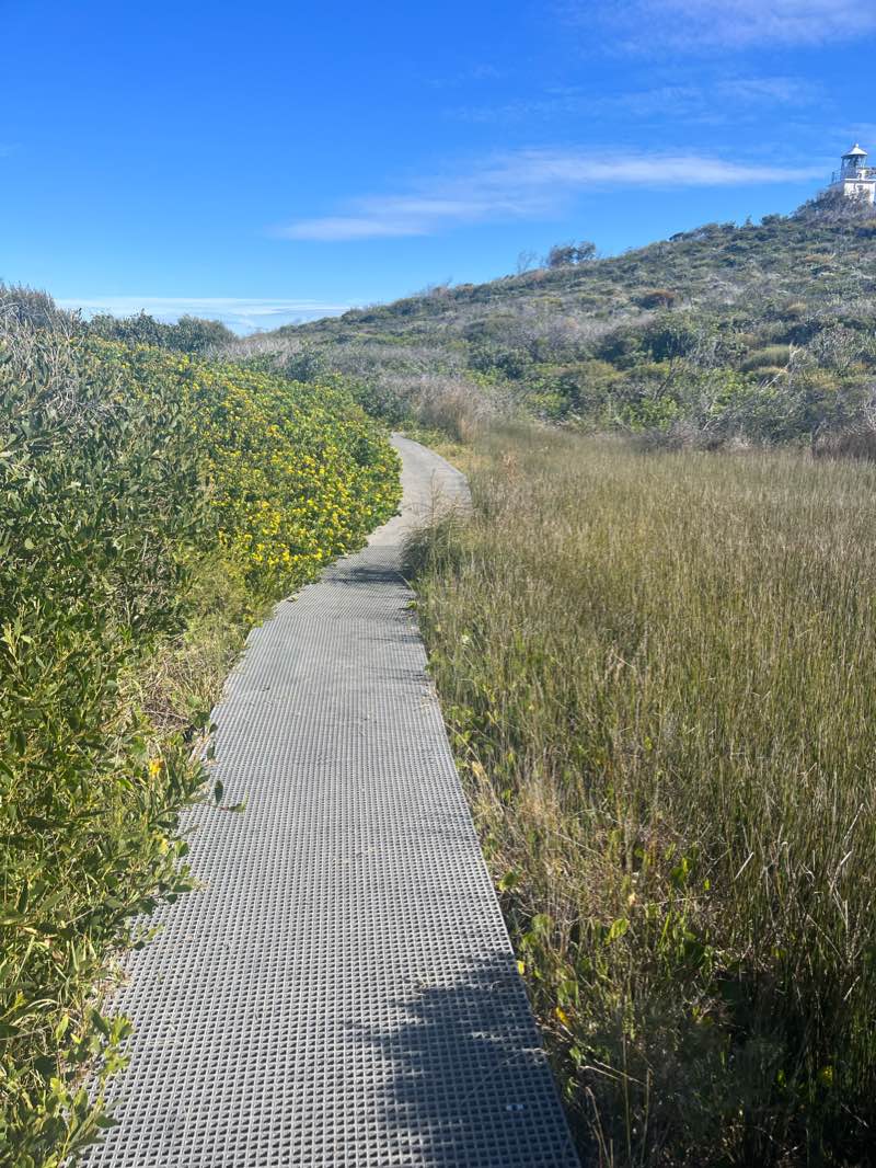 walking near me in Boat Harbour Aquatic Reserve in summer