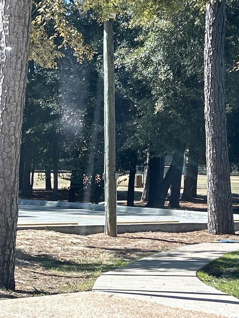 walking near me in Devonshire Park in autumn