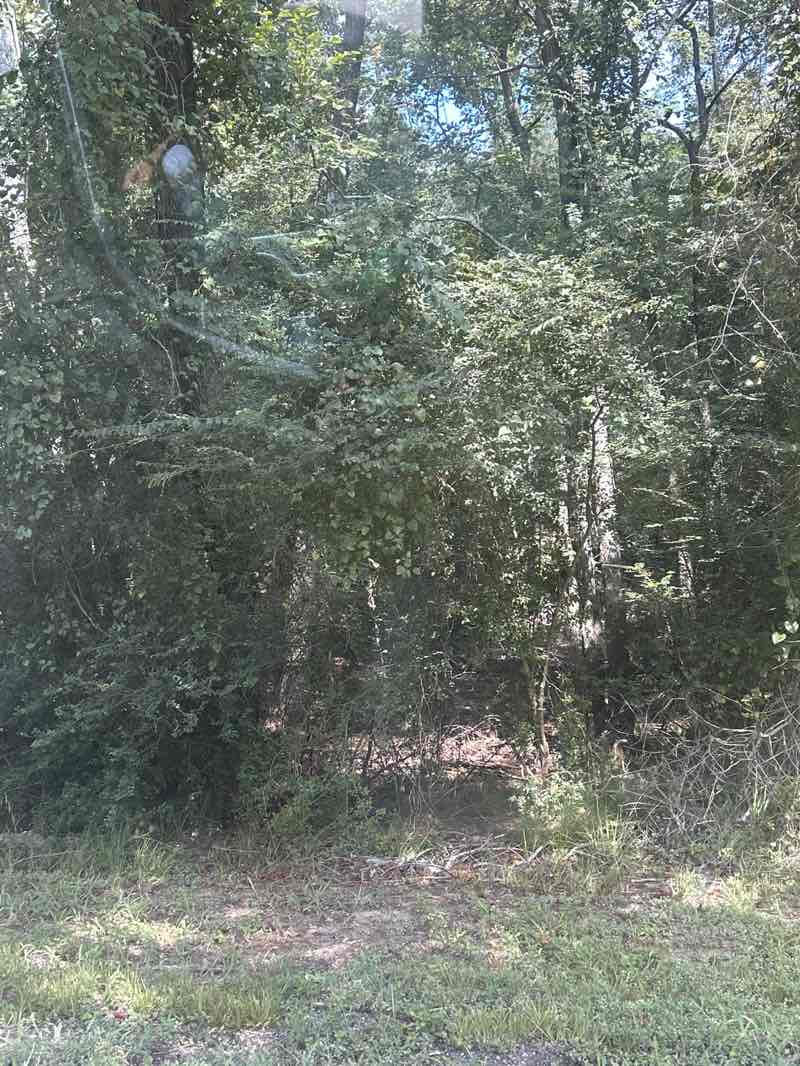 walking near me in Turkey Creek Park in autumn