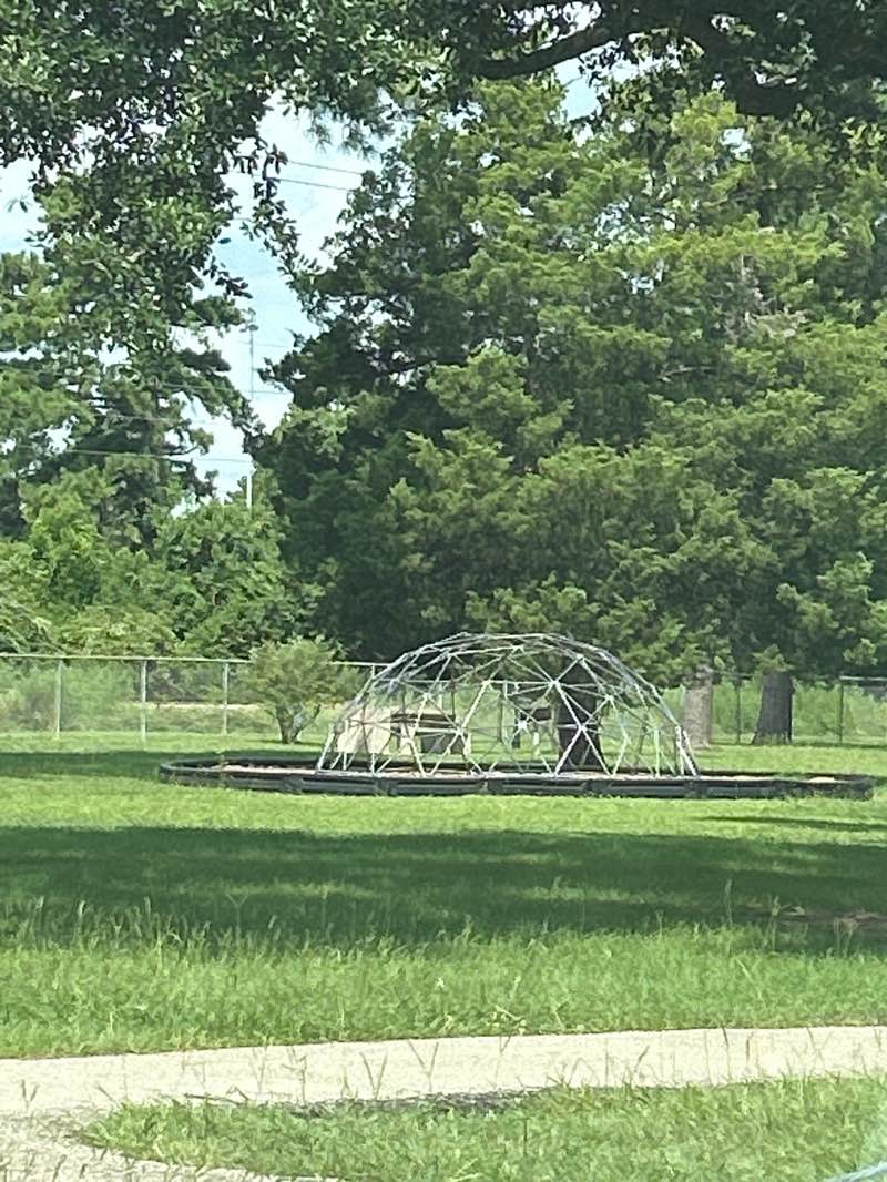 walking near me in Matheson Park in autumn