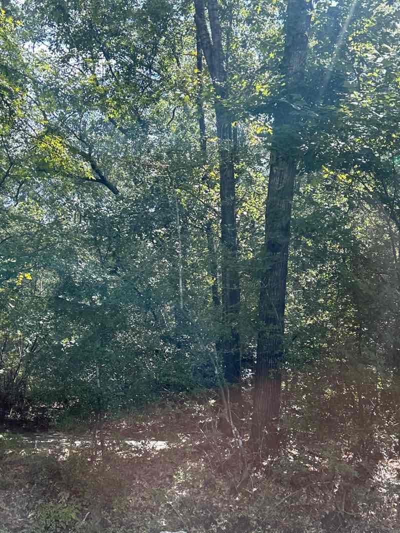 walking near me in Tamarac Park in autumn