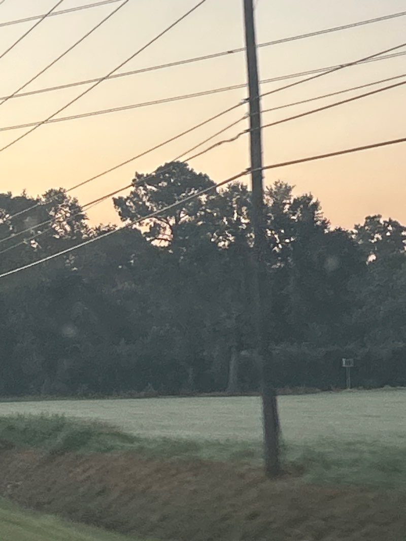 walking near me in Samuel Mathews Park in autumn