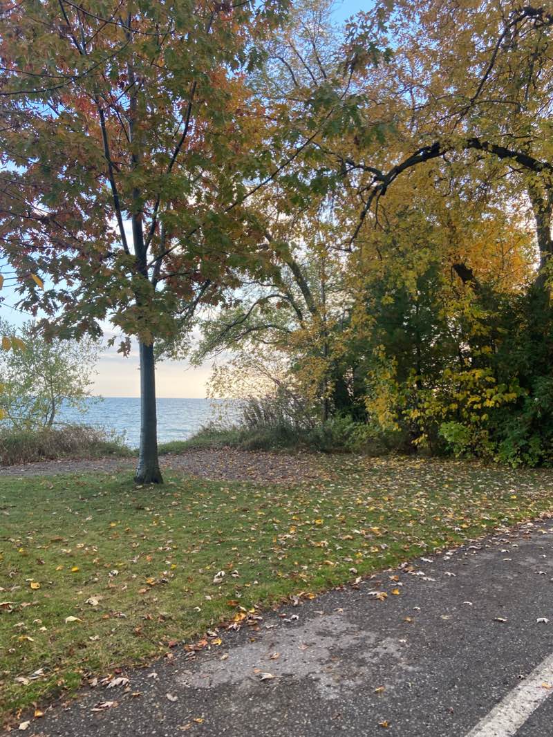 walking near me in Kinsman Park in winter