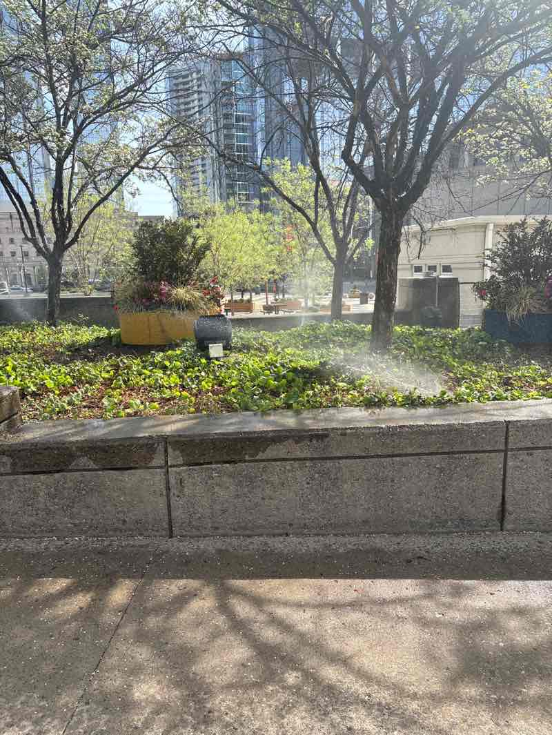 walking near me in Music City Walk of Fame Park in spring