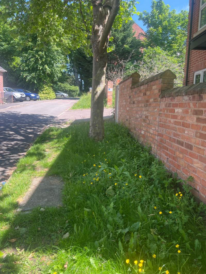 walking near me in Lily Marriot Garden in winter