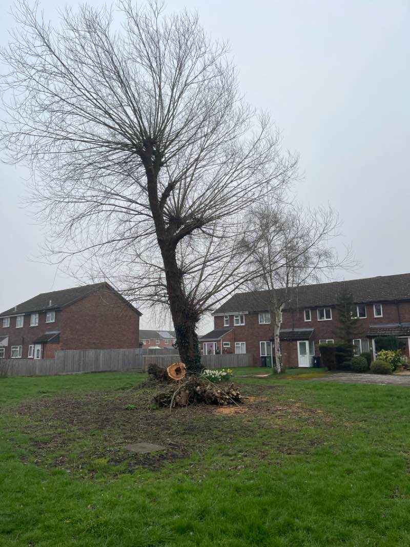 walking near me in Smith's Wharf Public Greens in spring