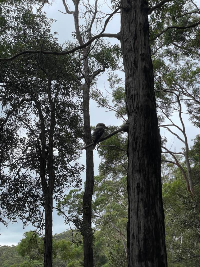 walking near me in Old Mans Valley Park (proposed) in summer