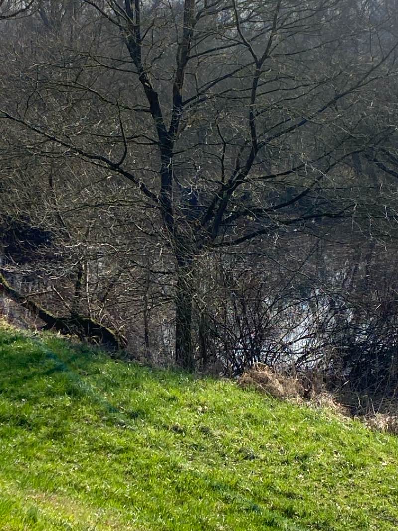 walking near me in Laubenheimer Park in winter