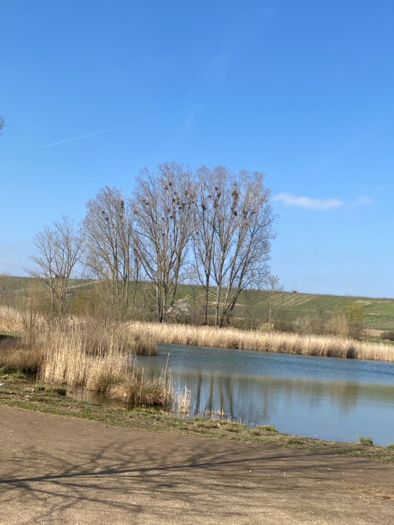 walking near me in Klara-Schapiro-Anlage in winter