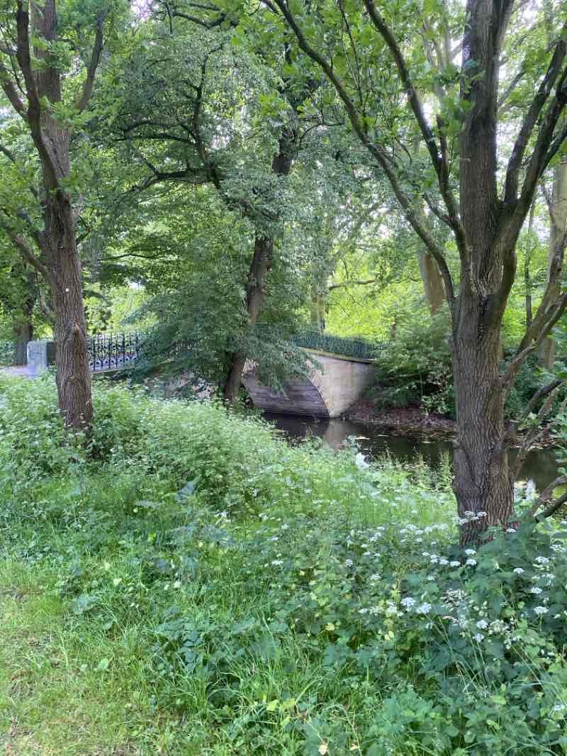 walking near me in Maschpark in winter