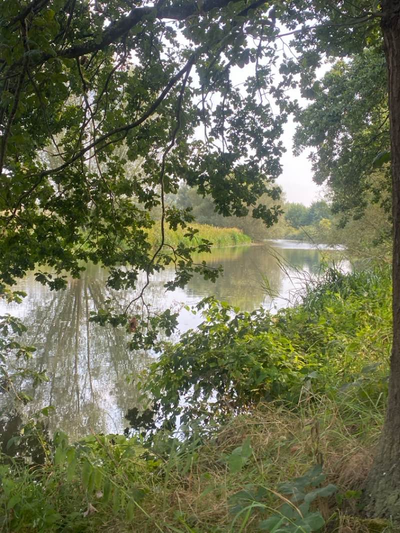walking near me in Bastion in winter