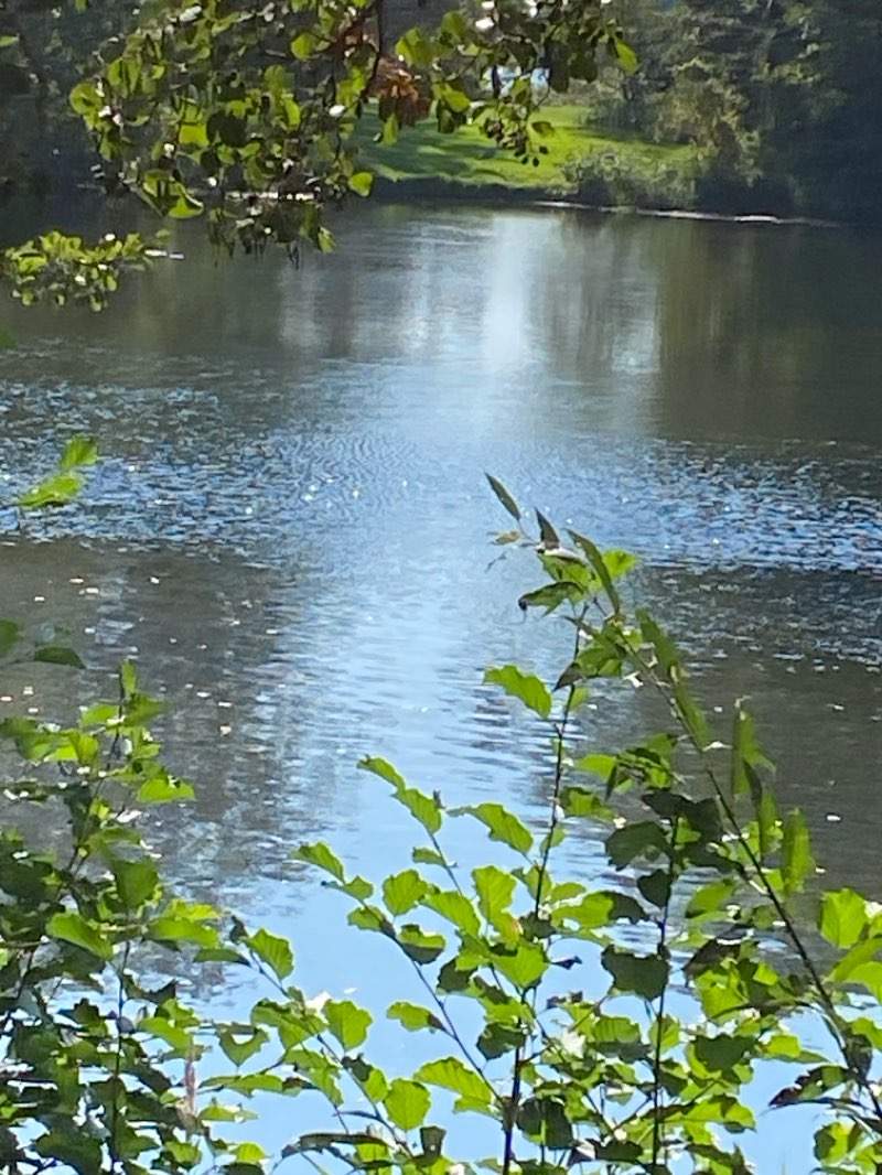 walking near me in Viewegs Garten in winter