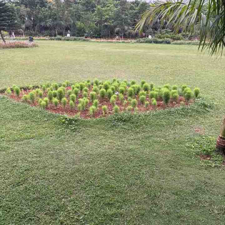 Krishna post 1