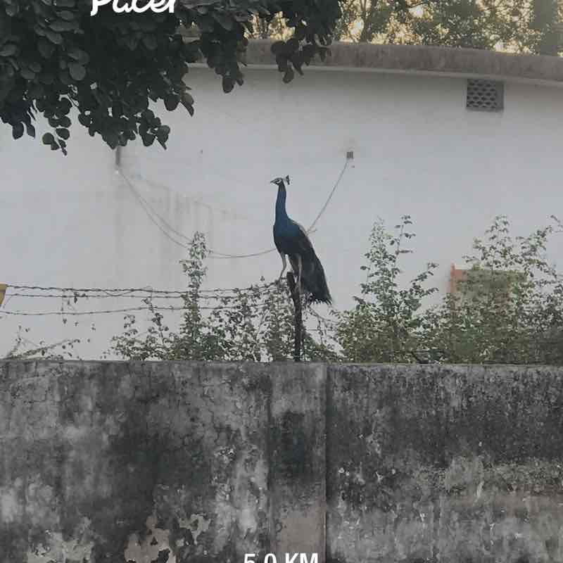 Jaimin Dalwadi post 1