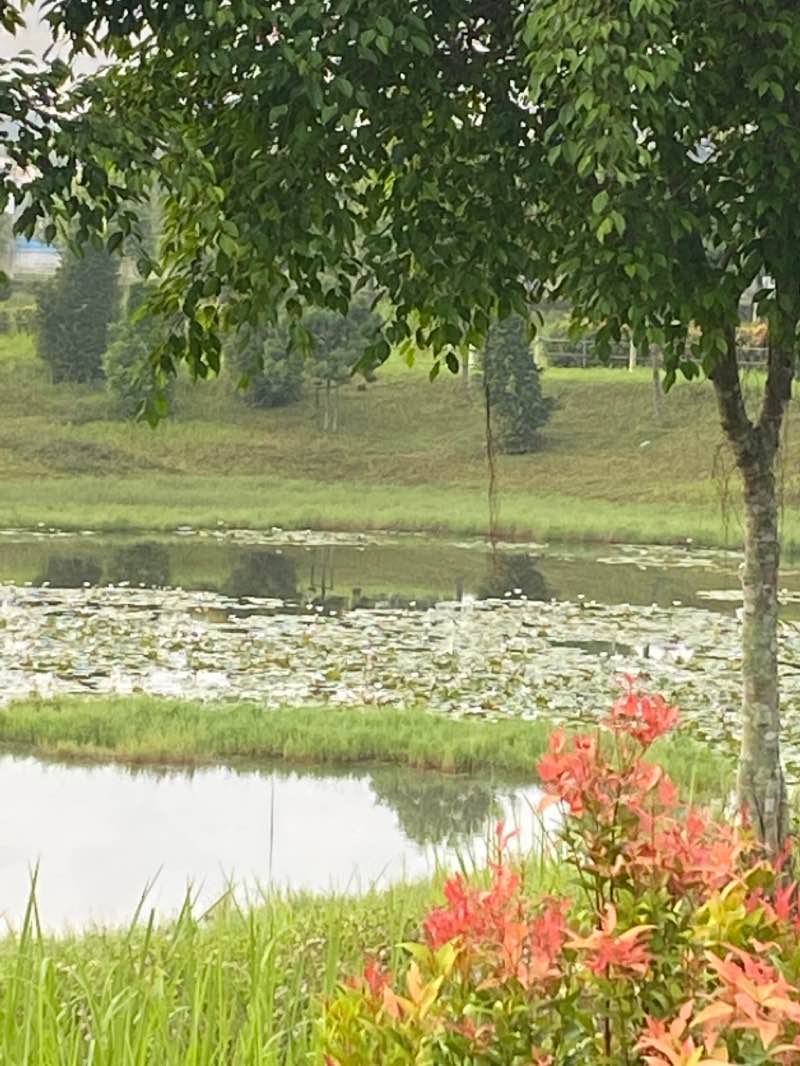 walking near me in Urban Park in winter