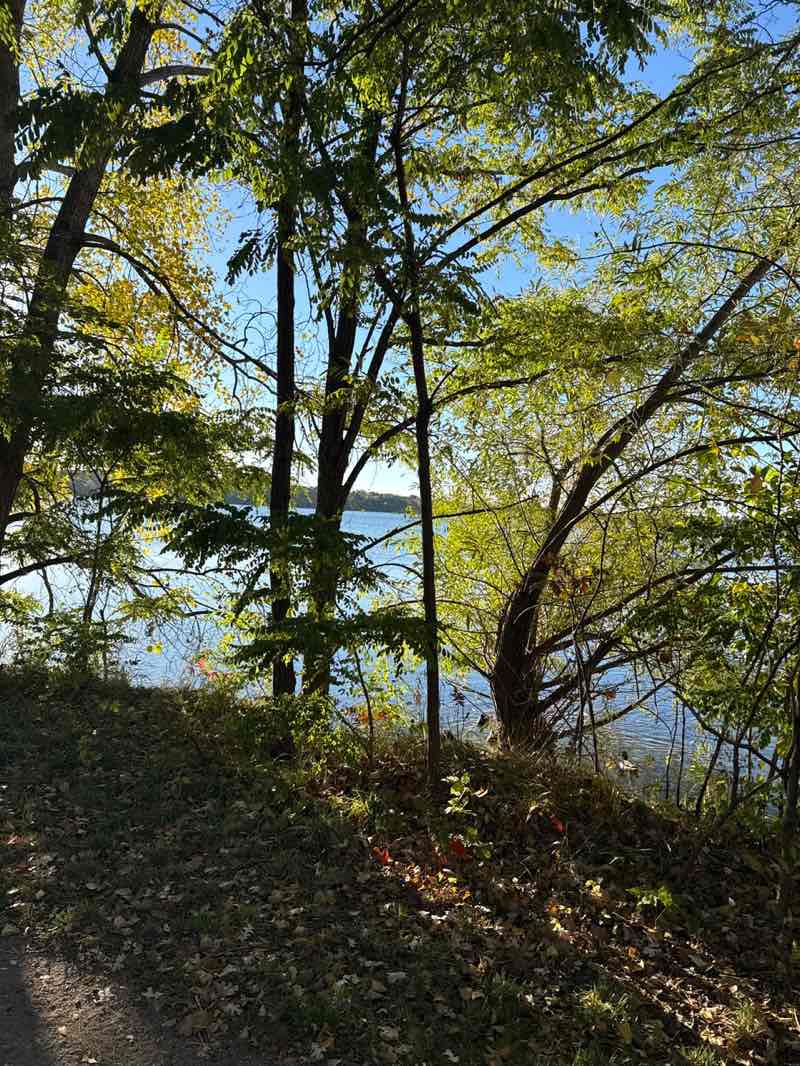 walking near me in Lyndale Park in autumn