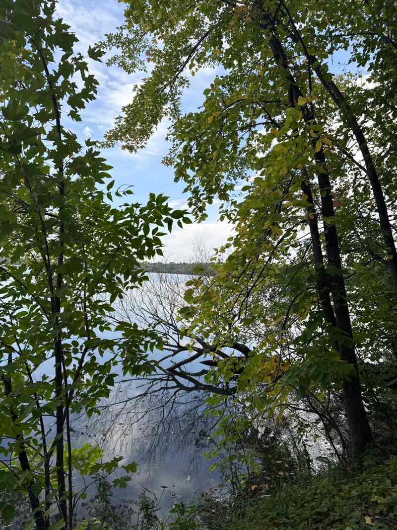 walking near me in Lake Harriet Parkway in autumn