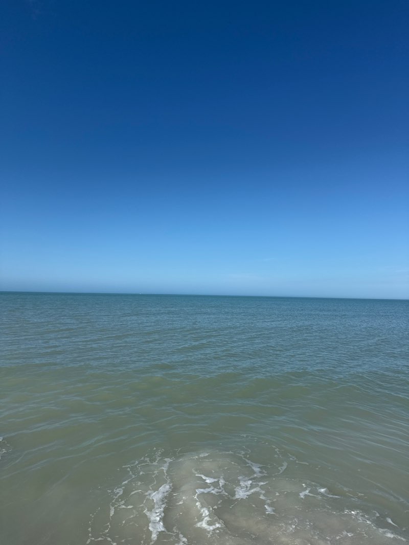 walking near me in Conner Park in winter