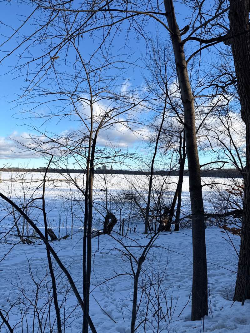 walking near me in Lake Harriet Parkway in winter