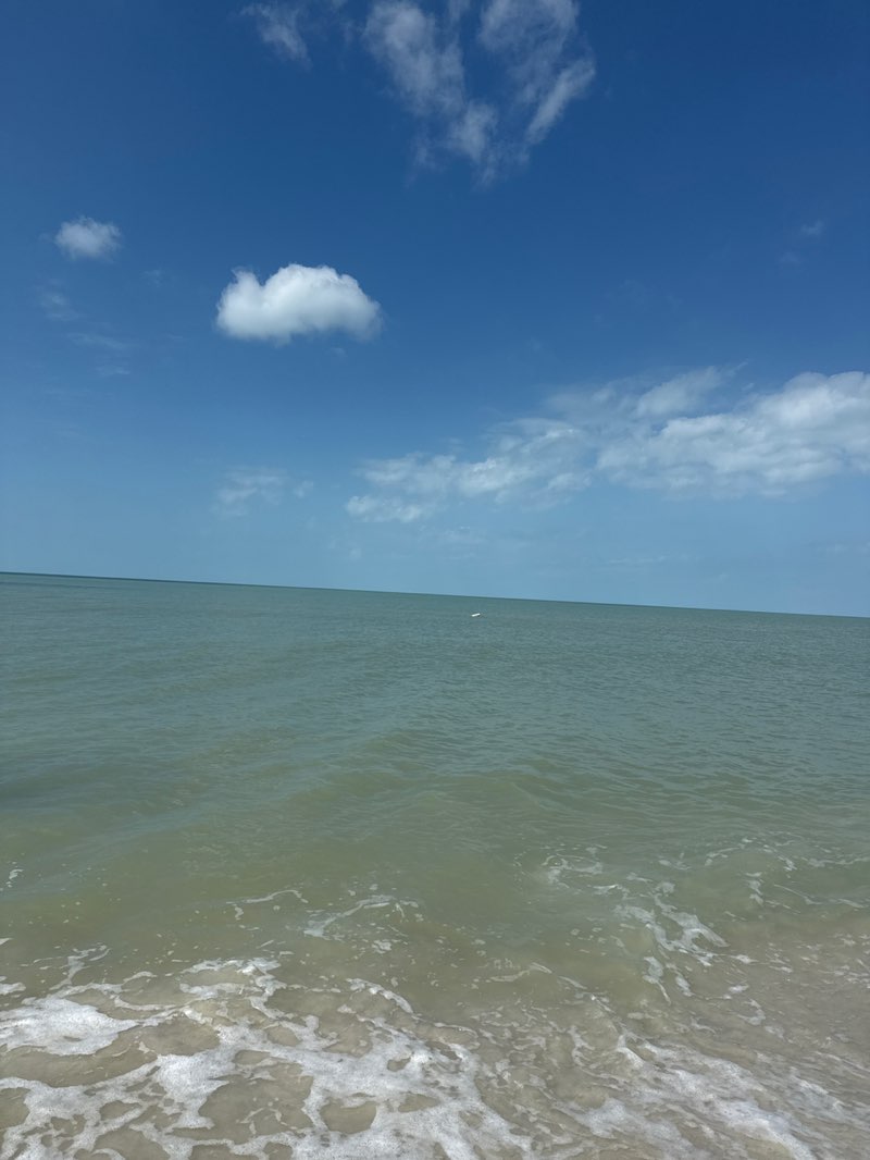 walking near me in Delnor-Wiggins Pass State Park in winter
