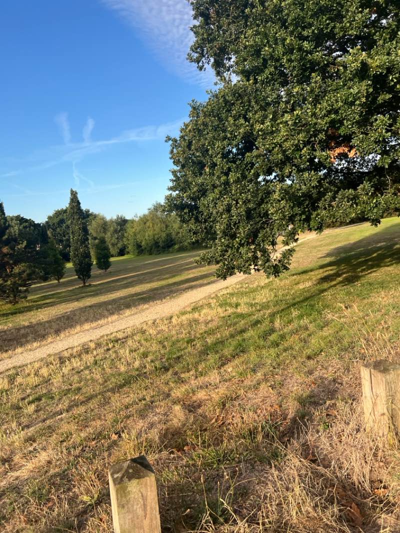 walking near me in Haskells Recreation Ground in autumn
