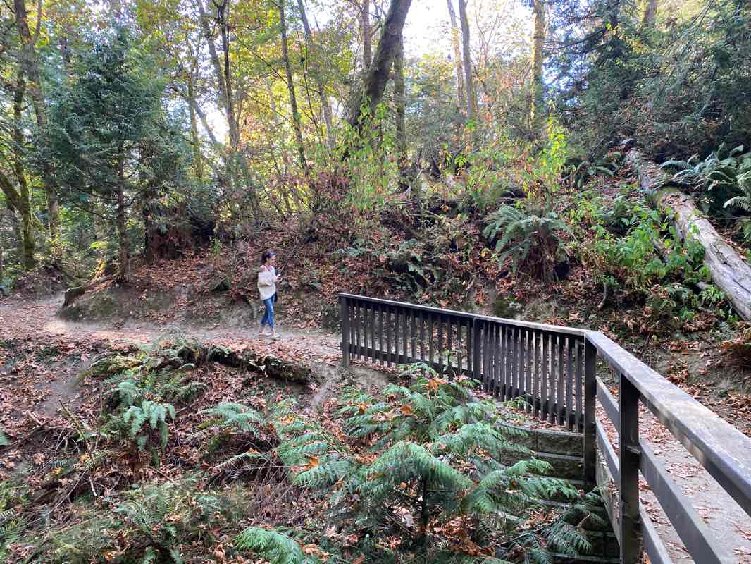 walking near me in Mill Bay Nature Park in winter