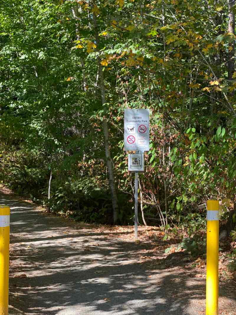 walking near me in Old Mill Park in winter