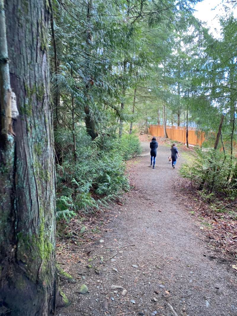 walking near me in Hollings Creek Park in winter