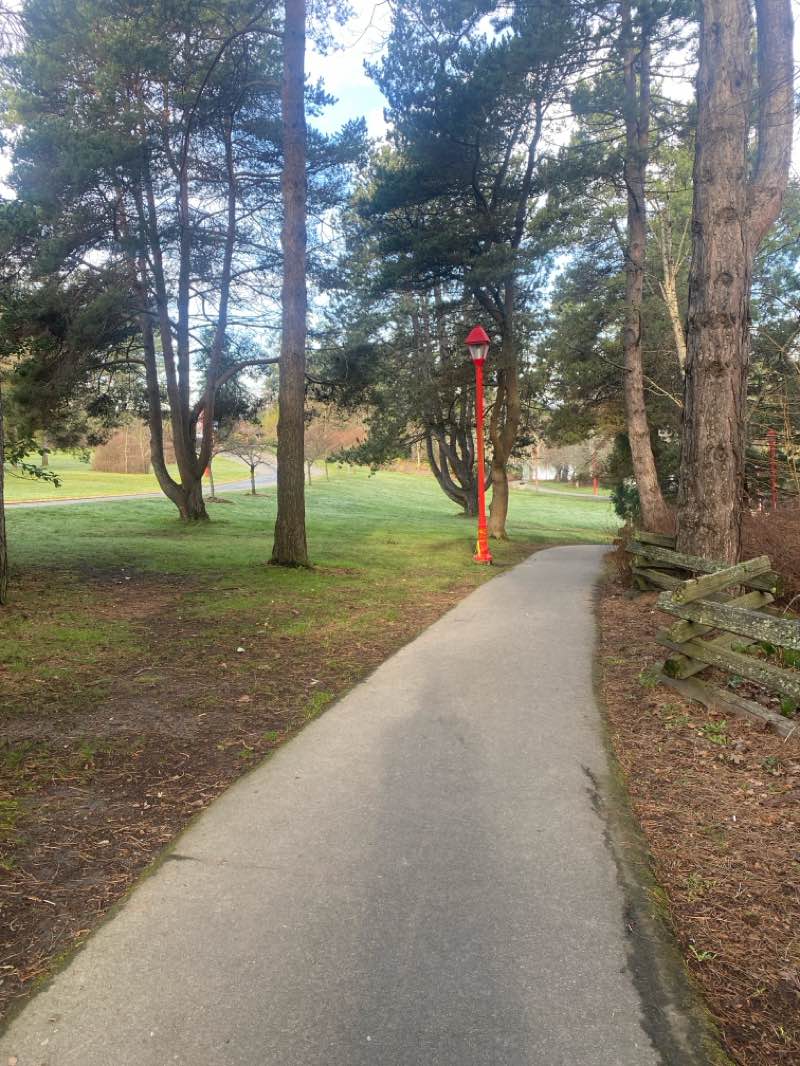 walking near me in Craigflower Park in winter