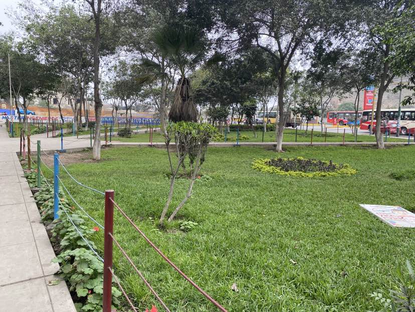 walking near me in Parque Abancay in spring