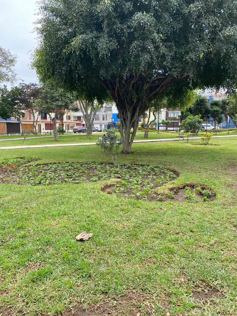 walking near me in Parque Kennedy in spring