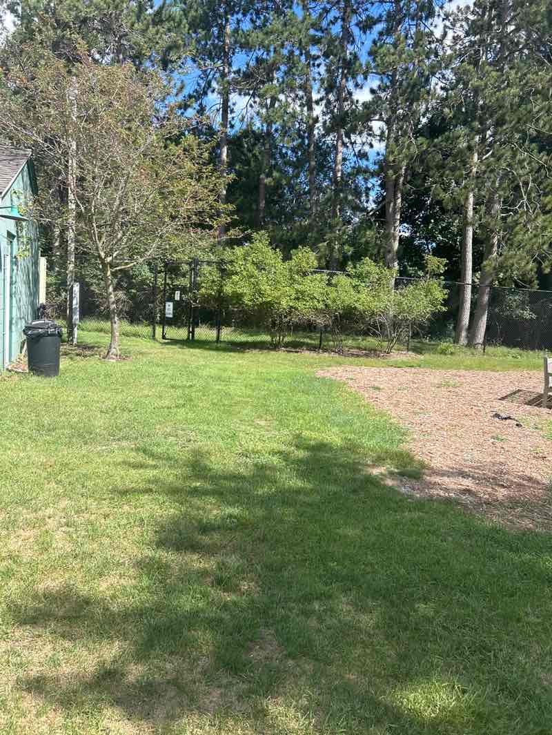 walking near me in Slayton Arboretum in autumn