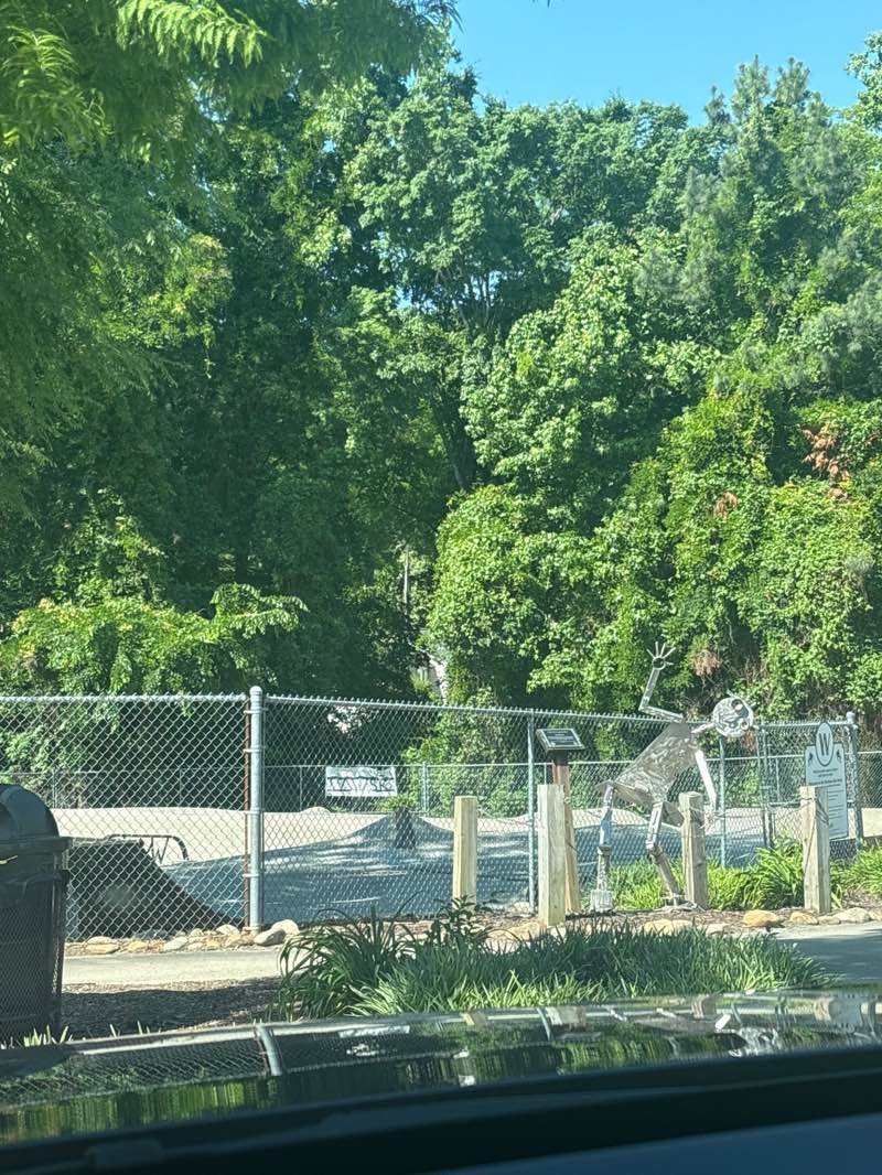 walking near me in David G. Barnes Children's Park in spring